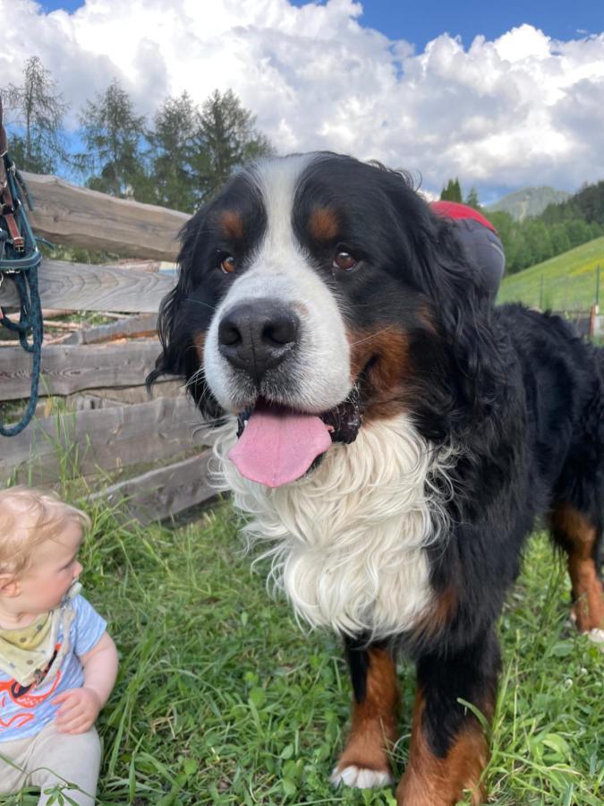 Ferienwohnung Rosengarten Am Manoetscherhof Cornedo all'Isarco Luaran gambar